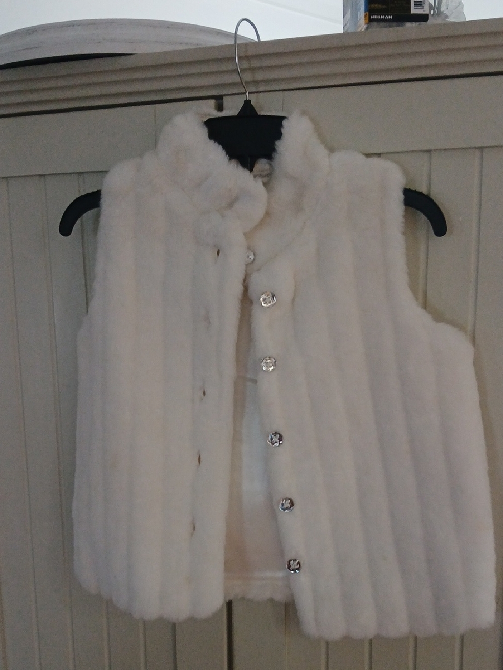 Gymboree Cream Faux Fur Vest